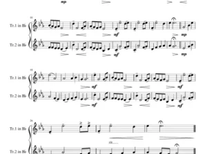 DUET TRUMPET Ave Maria Lorenc