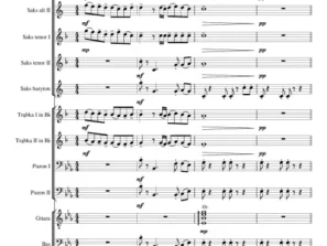 ORKIESTRA Bursztynowe koraliki