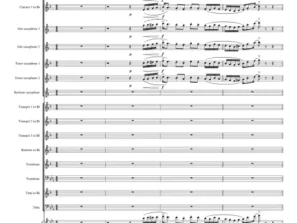 ORKIESTRA Czy czuje Pani cha-chę