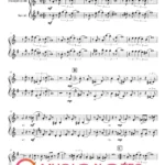 DUET TRUMPET SAX Kariera Nikodema Dyzmy