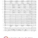 ORKIESTRA Kombi wiązanka