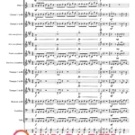 ORKIESTRA Konik na biegunach