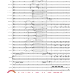 ORKIESTRA Kapuśniaczek