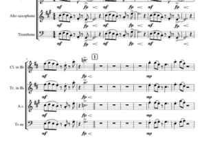 KWARTET DETY Moje serce to jest muzyk