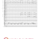 ORKIESTRA Kocham Cię jak Irlandię