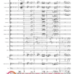 ORKIESTRA To co dał nam świat