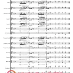 ORKIESTRA Tom & Jerry