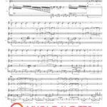 Aranżacja piosenki „Pszczółka Maja” w wersji PDF. Nuty na orkiestrę – pogodny nastrój i zabawne brzmienie, doskonałe na koncerty dziecięce i rodzinne festyny.