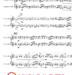 DUET TRUMPET Schowaj mnie