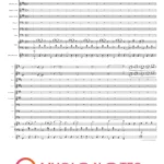 BAND Ucieczka babuni