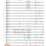 ORKIESTRA Wiązanka na lato